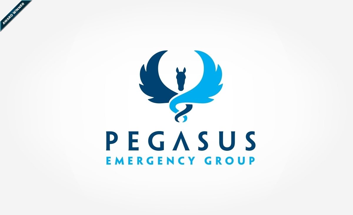 Award winning logo design for a medical group located in Flemington, NJ. Winner of NJ Ad Club - 2nd place - logo design category & Winner of Art Directors Club of NJ Award for Corporate & Promotional Design - Trademarks, Logos: Silver, 2014.